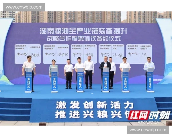 赛事物资储备管理与优化策略研究及其对赛事成功的影响分析