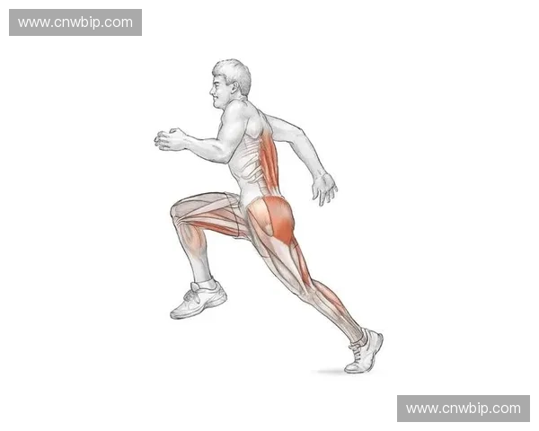 运动科学视角下人体生理反应与运动表现的关系及其优化策略探讨